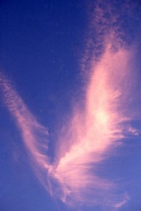 angelcloud3