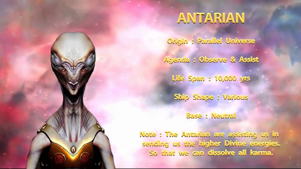 surfers, boards up, get ready to ride- The Antarians via Galaxygirl.