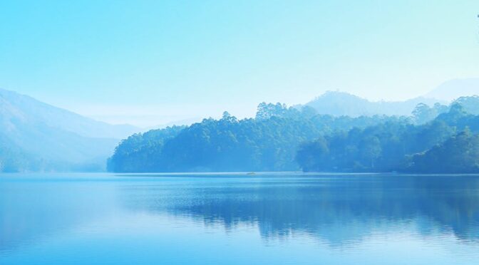 lake surrounded with green leafed trees